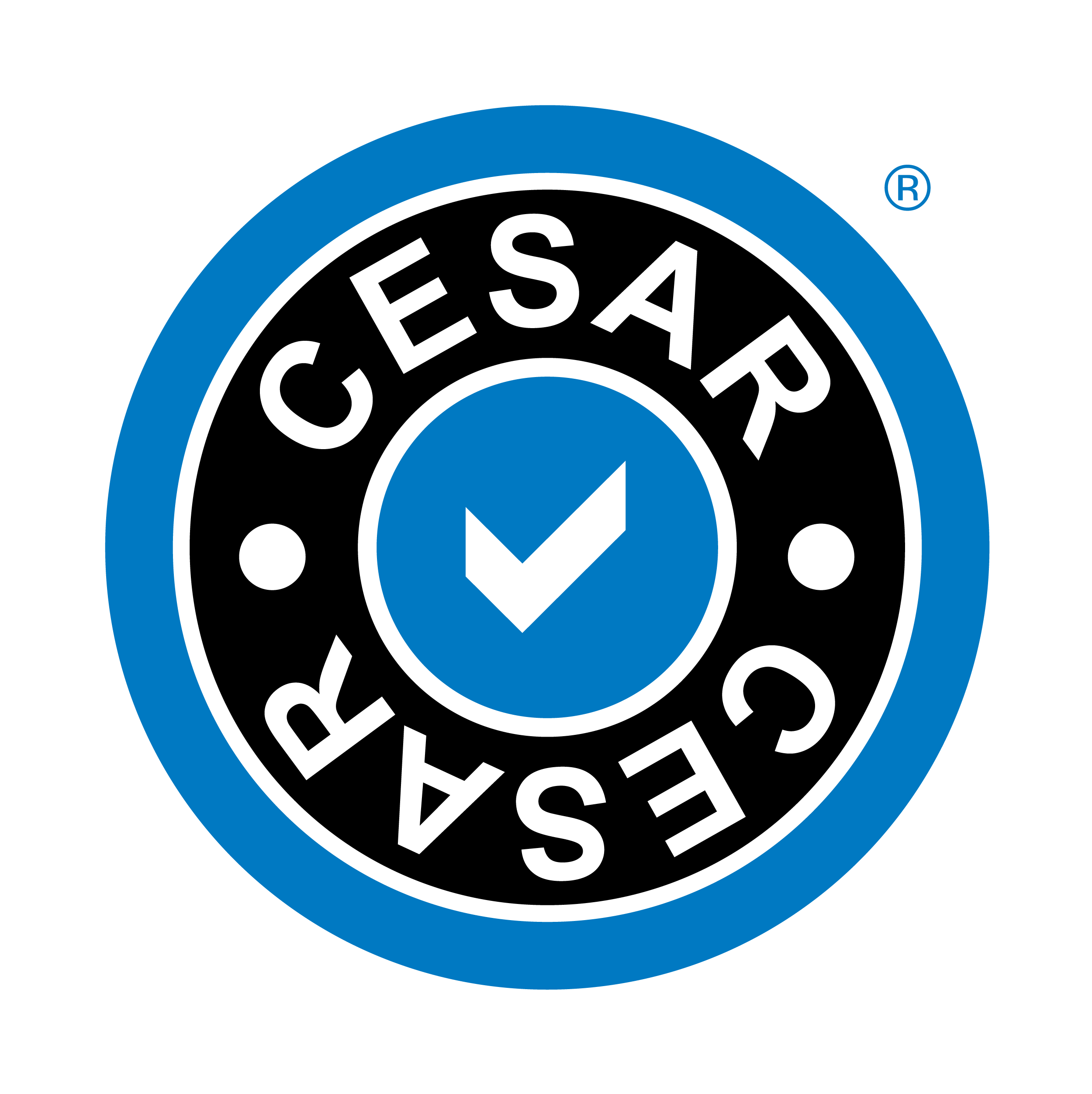 CESAR_Logo-1