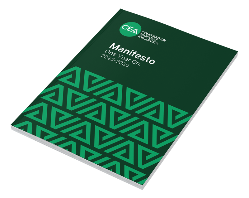 Manifesto One Year cover small