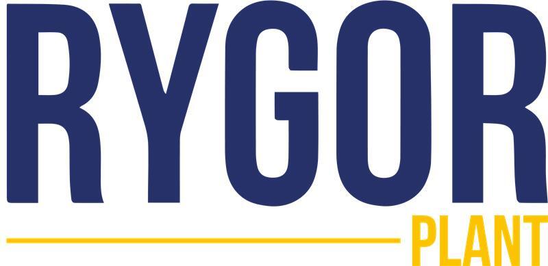 Rygor